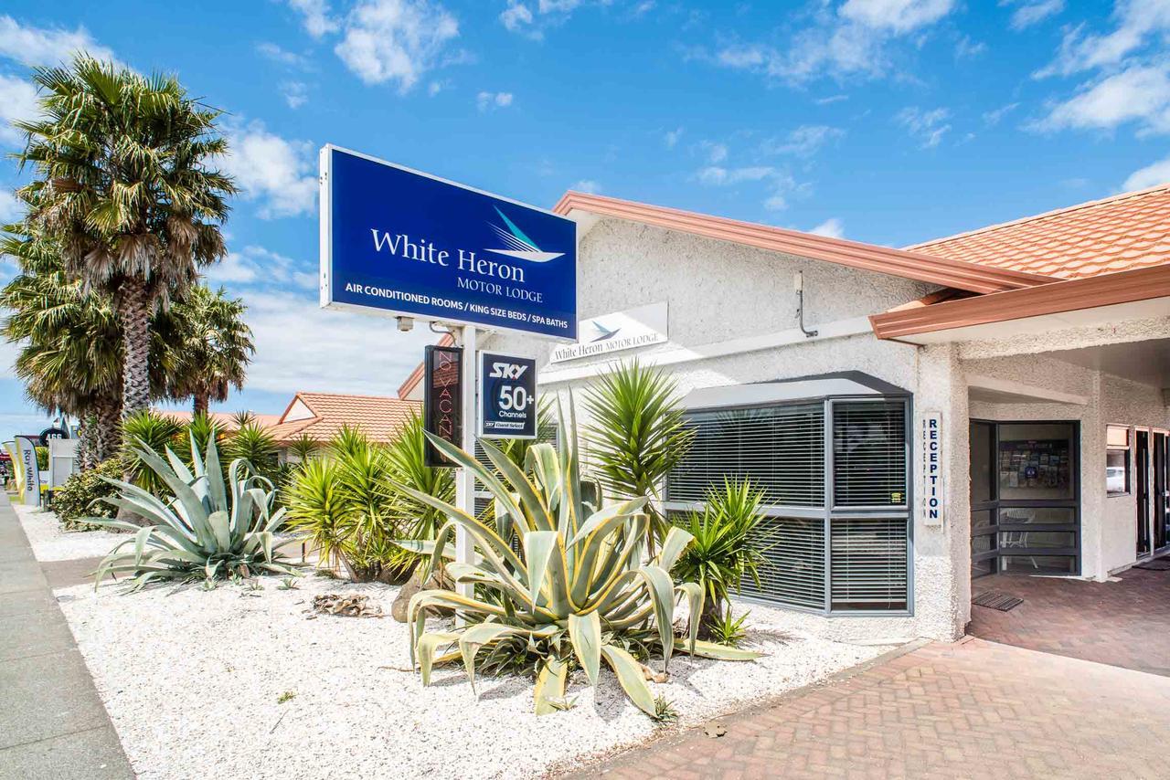 White Heron Motor Lodge Gisborne Dış mekan fotoğraf